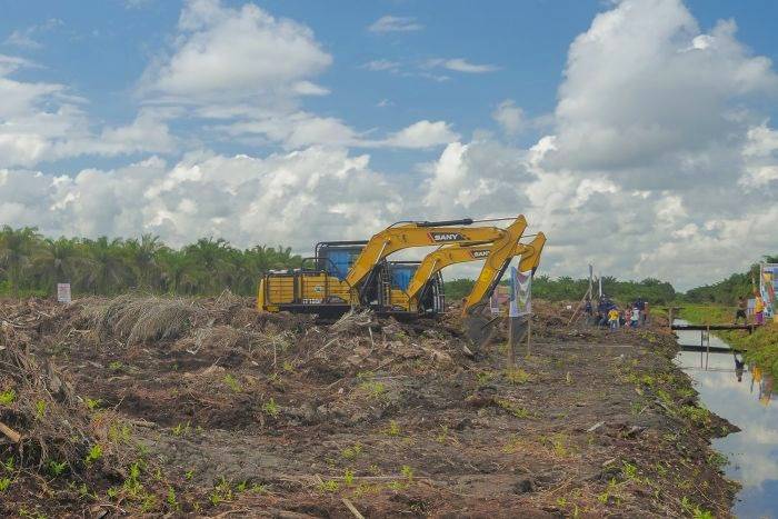 Sebanyak 10 Kabupaten di Riau Dapat Bantuan Replanting dari Pemerintah Pusat