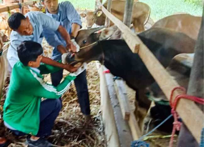 Riau Bebas Antraks