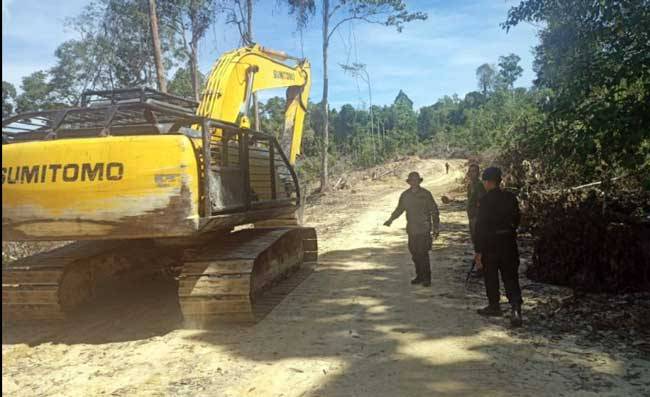 DLHK Riau Amankan Perambah Kawasan Hutan di Gunung Sahilan