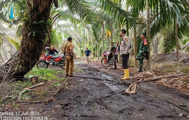 Tim BBKSDA Riau Dalami Keberadaan Harimau Sumatera di Temusai Siak