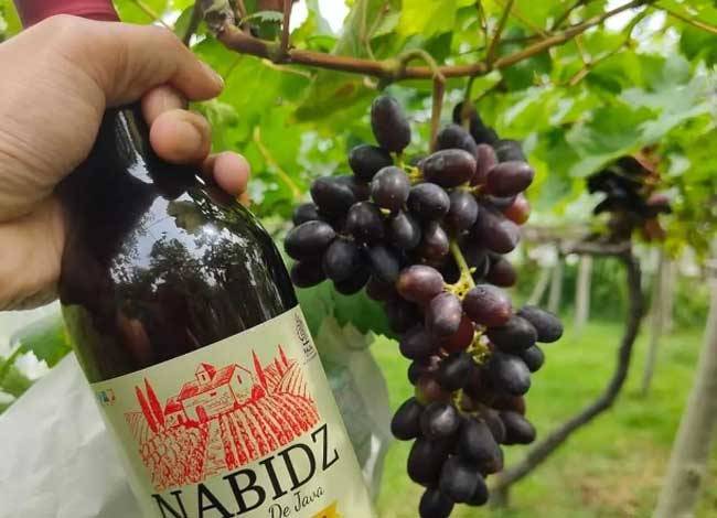 Heboh Red Wine Nabidz, BPJPH Pastikan Tidak Pernah Terbitkan Sertifikat Halal Produk Wine