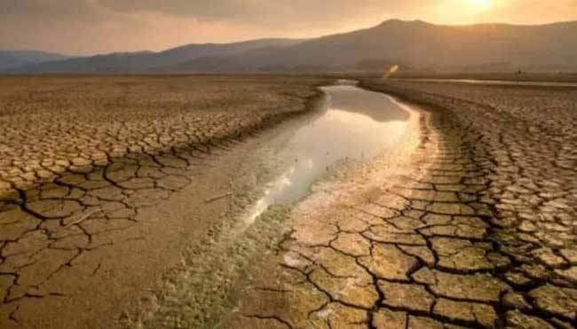 Pemerintah Perkuat Langkah Antisipasi Dampak El Nino