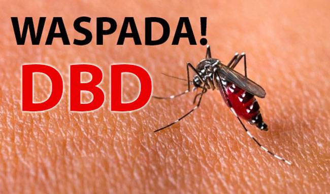 DBD Riau Capai 810 Kasus, Masyarakat Diimbau Giatkan 3M