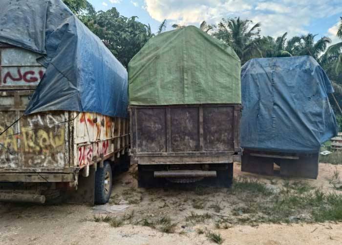 Empat Truk Kayu Ilog di Kampar Diamankan, Pemilik Kabur