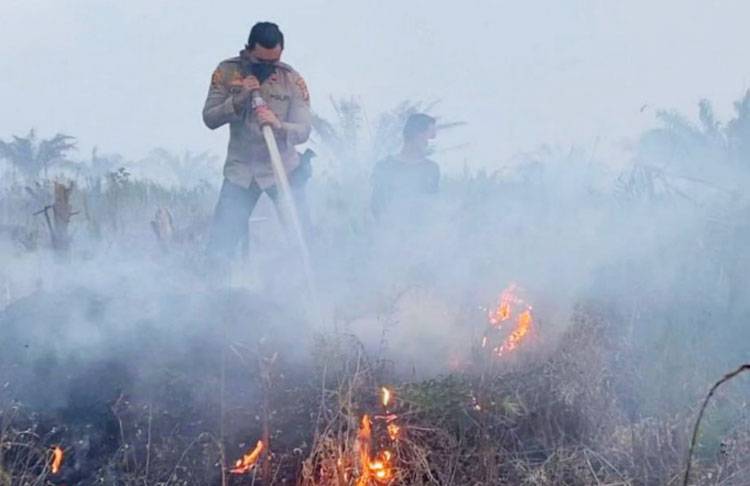 Dibantu Waterbombing, Karhutla di HGU PT. PHI Langgam Dipadamkan
