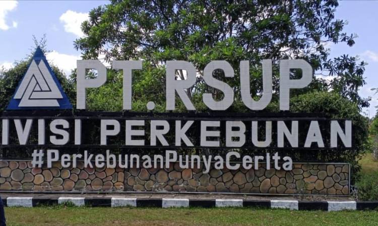 Kejati Riau Pastikan 237 Ha Lahan di PT RSUP Masuk Kawasan Hutan