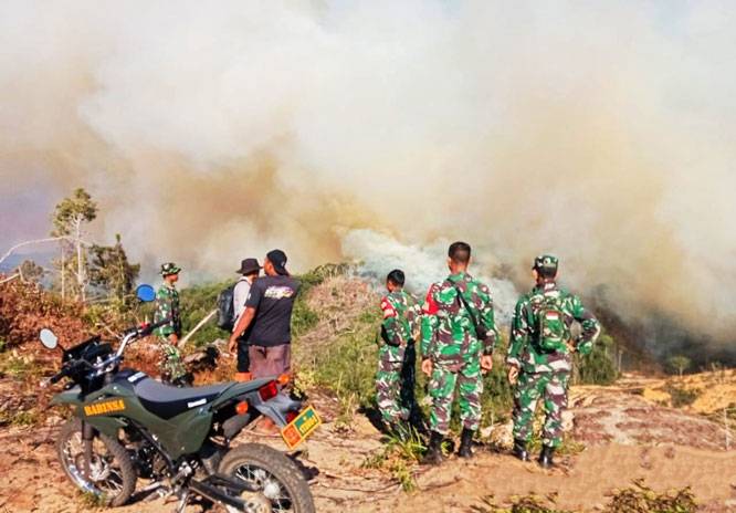10 Hektar Hutan di Kabupaten Rokan Hulu Terbakar, Petugas Tak Dapat Menjangkau Lokasi