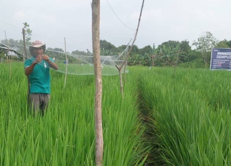 Mentan Andi Amran Dorong Hilirisasi dan Pengembangan Lahan Riau