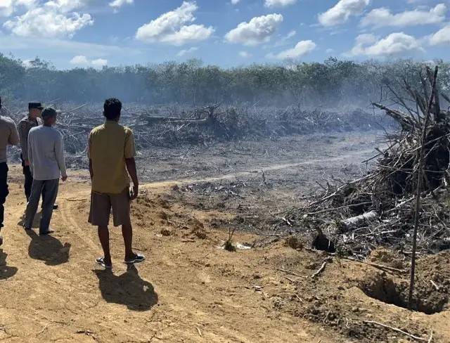 Polisi Tangkap Pembakar Lahan di Desa Kalimanting Kuansing