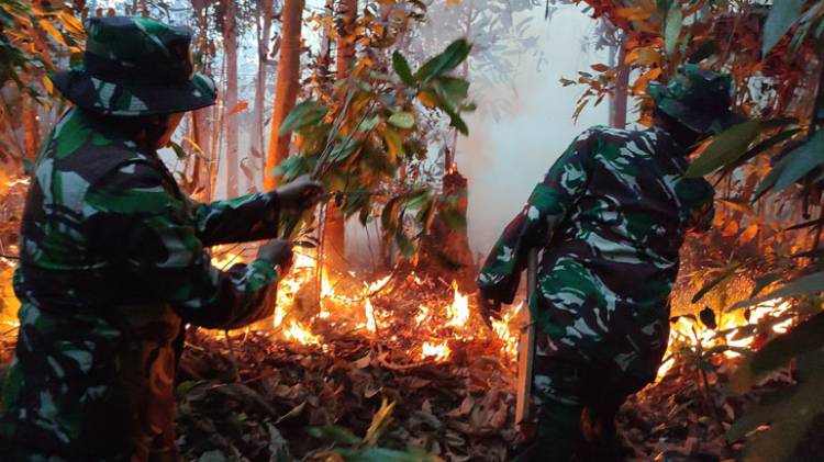 Hutan di Desa Menaming Rokan Hulu Terbakar, Petugas Lakukan Pemadaman
