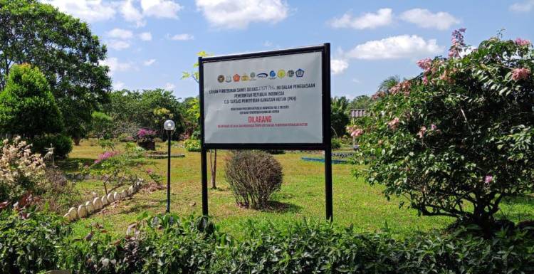 Plang Satgas PKH di Kantor Perkebunan PT RSUP Pulau Burung: Legalitas Dipertanyakan, Aktivitas Tetap Berjalan