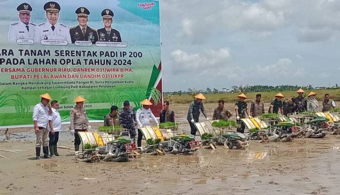Kabupaten Pelalawan Menuju Kedaulatan Pangan
