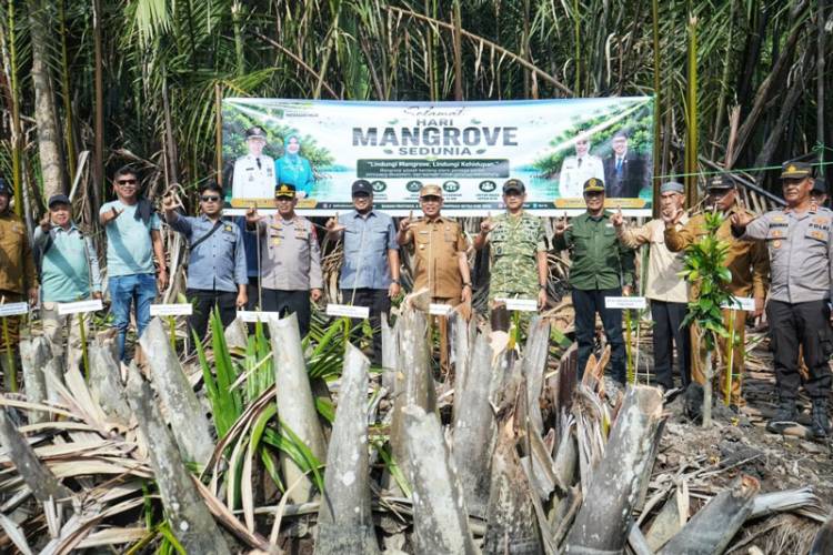 Bupati Inhil H. Herman Bersama Forkopimda Tanam Mangrove di Sapat