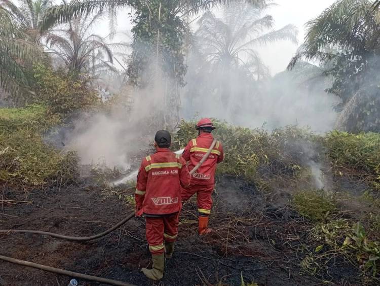 Antisipasi Karhutla, 90 Personil BPBD Pekanbaru Siaga