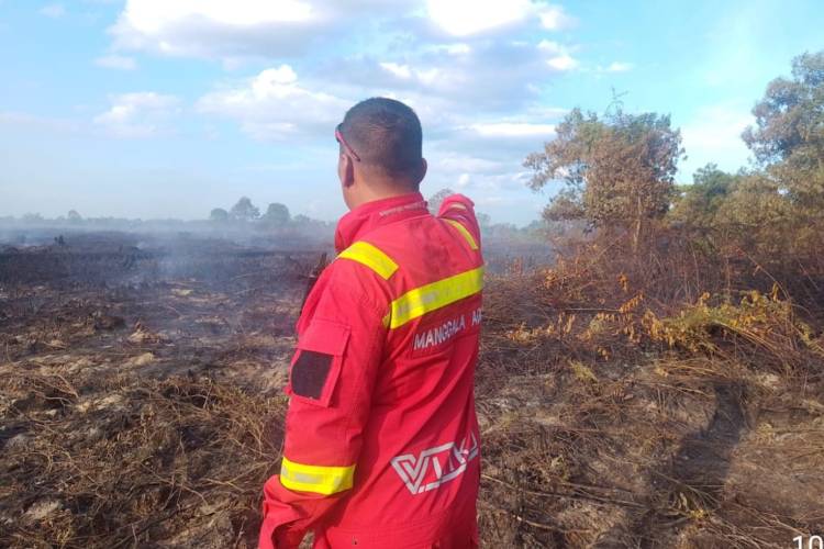 Karhutla di Pulau Serdang, 7 Hektare Gambut Terbakar