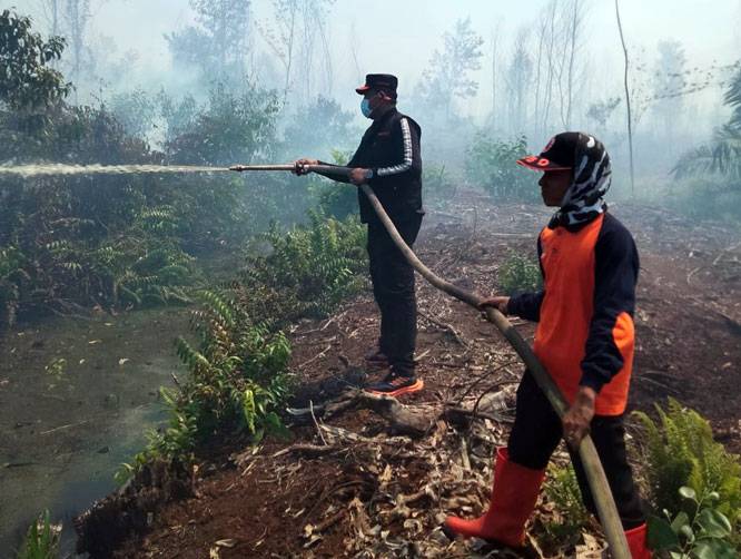 Antisipasi Super El Nino, Bupati Rokan Hilir Terbitkan Maklumat Larangan Bakar Lahan