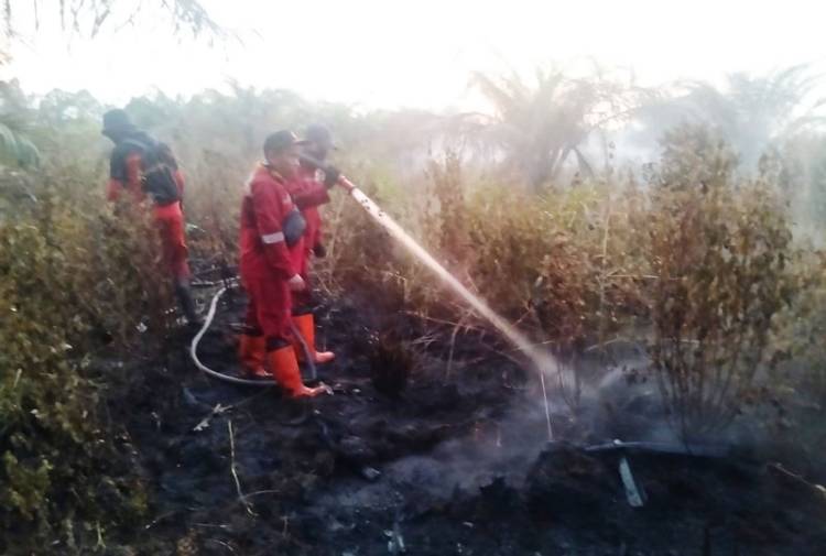 Satu Hektare Lahan Gambut di Air Hitam Pekanbaru Terbakar