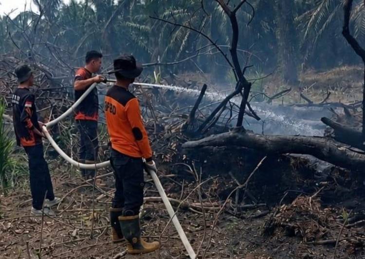 Ini 6 Poin Maklumat Forkopimda Riau Terkait Karhutla