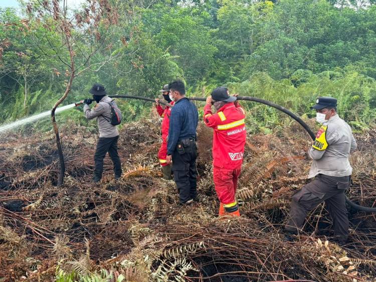 Tim Gabungan Jinakkan 80 Hektare Karhutla di Bengkalis