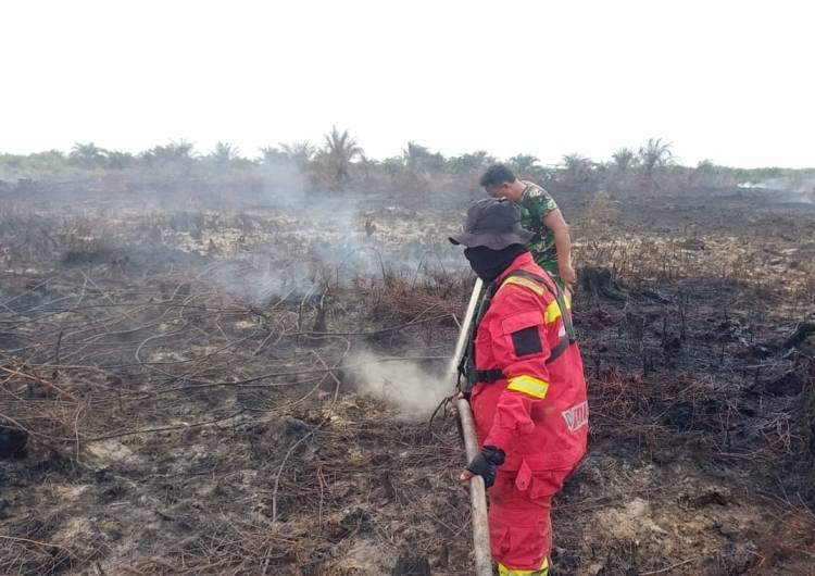 2 dari 7,5 Hektare Karhutla di Kubu Rohil Berhasil Dipadamkan, Kini Muncul Titik Baru di Bangko