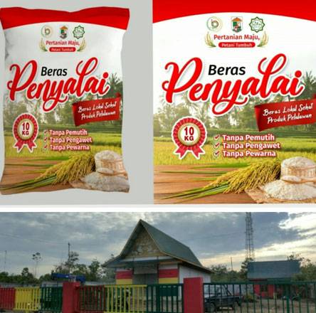 Serius Pasarkan Beras Penyalai, PD Tuah Sekata Pelalawan Persiapkan Gudang Representatif Penyimpanan