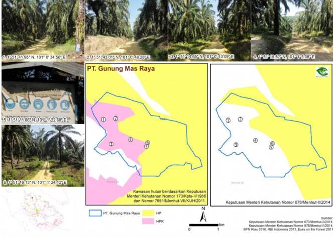 Bongkar Dugaan Kebun &ldquo;Bodong&rdquo; GMR, Tim 11 Surati DPRD Rohil