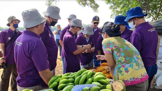 Tim Pengkaji Ketahanan Pangan Lemhanas RI Tinjau Pertanian Lanud Suryadarma