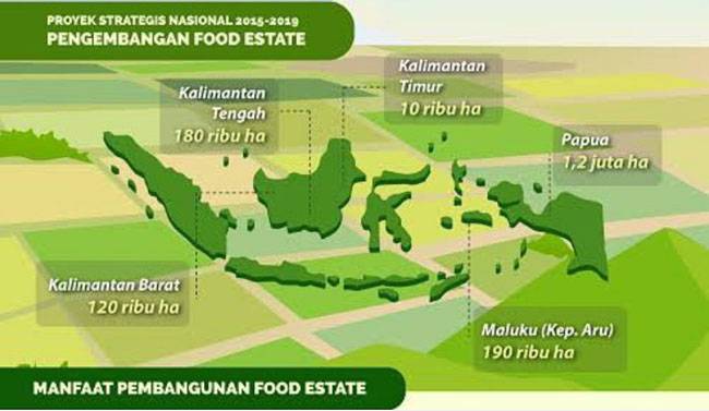Sekjen PDIP Kritik Program Food Estate Era Jokowi, Bagian Kejahatan Lingkungan