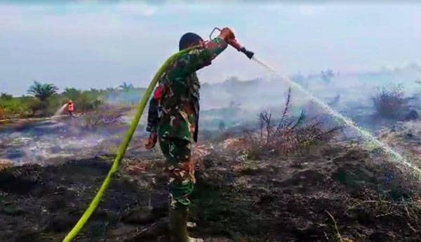 Kebakaran Hutan Gambut di Rokan Hulu Padam, Petugas Gabungan Lakukan Pendinginan Dibantu Waterbombing