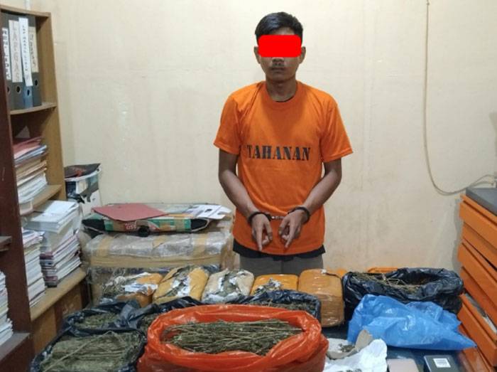 Pemuda di Perawang Dibekuk Polisi, 7 kilogram Ganja Diamankan