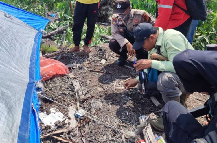Pekerja Perkebunan Akasia Sinar Mas Grup Diterkam Harimau