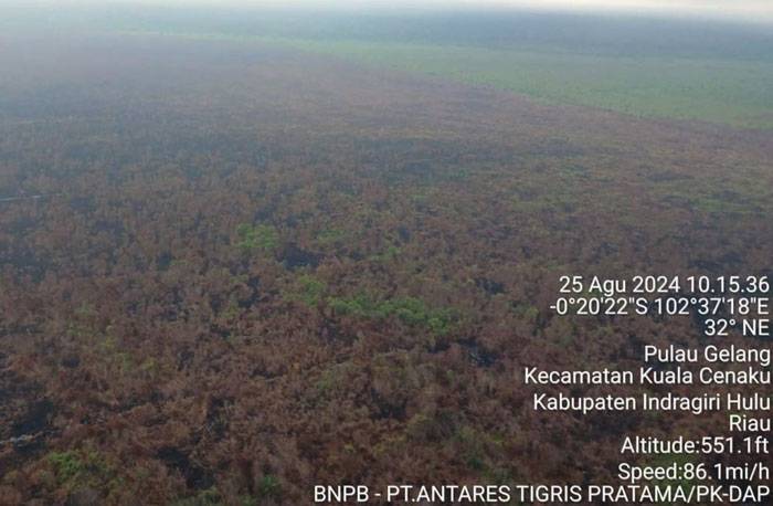 Karhutla Pulau Gelang Kuala Cenaku Padam Total