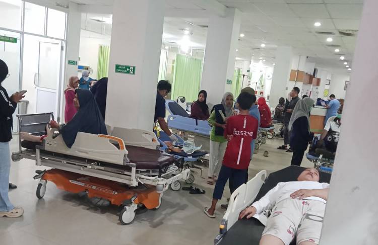 Dinas Kesehatan Pekanbaru Pantau 9 Warga yang Digigit Anjing Liar di Tenayan Raya, Tunggu Hasil Lab