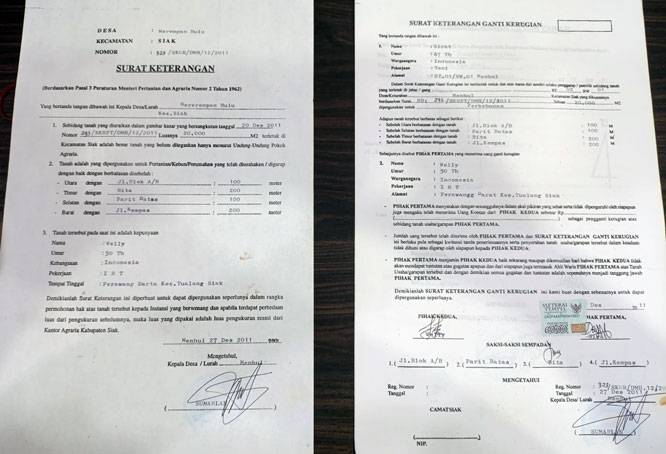 Beredar SK Kades Merempam Hulu Terbitkan SKGR Di Lahan PT SSL