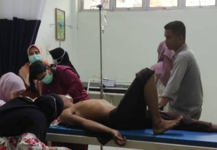 Pekerja Akasia di Pelalawan Diserang Harimau Sumatera