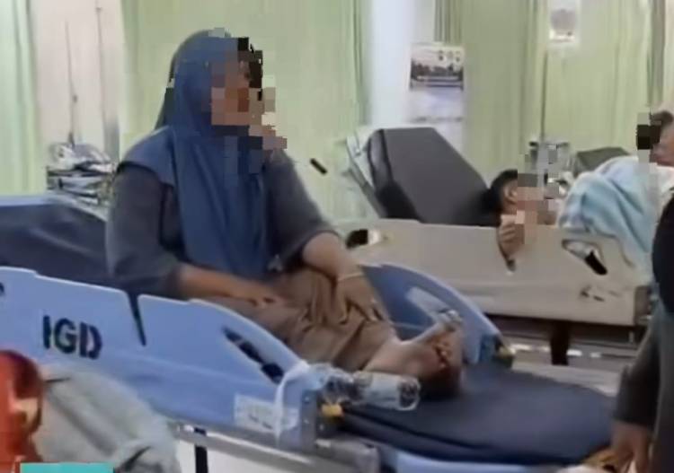 Korban Serangan Anjing Liar di Tenayan Raya Bertambah, Balita 3 Tahun Digigit di Leher