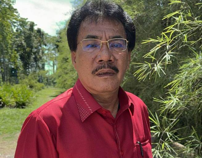 Tanggapi Video Bupati Siak, Begini Penjelasan APHI Riau