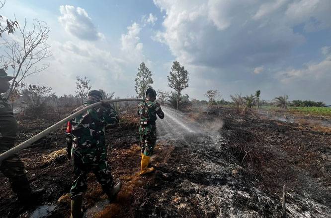 TNI Kerahkan 14.167 Personel Tangani Karhutla di Sejumlah Wilayah