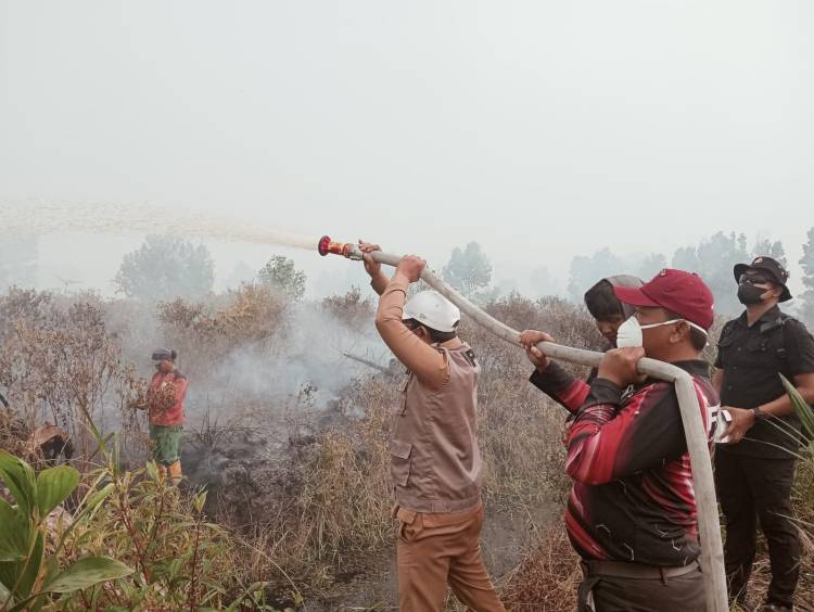 Karhutla Kerumutan Pelalawan Capai 969 Hektare
