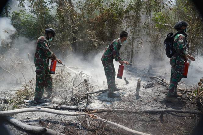 TNI Percepat Penanganan Karhutla Way Kambas, Tim Alfa Diterjunkan dari Udara