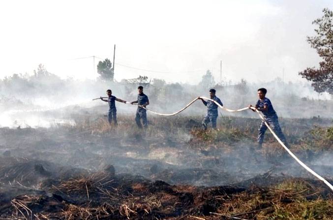 Pemadaman dan Pembasahan Lahan Gambut Diperkuat Satgas Darat Lanud Sjamsudin Noor