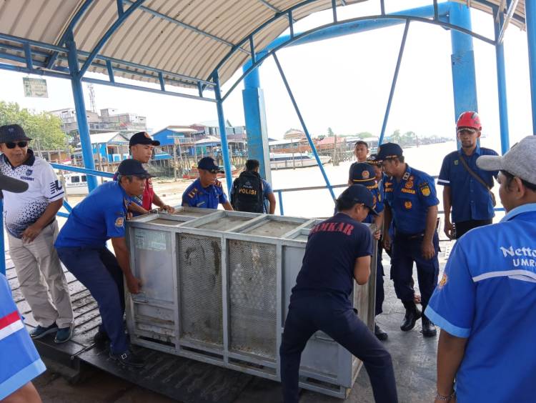 Upaya Tangkap Harimau di Pulau Burung Inhil, BBKSDA Riau Kirim Box Trap ke Desa Danai