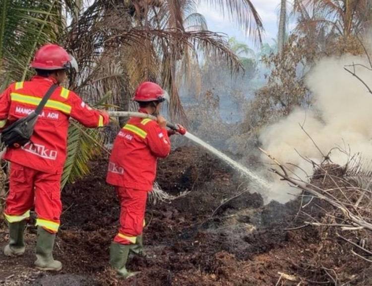 Personil Diperkuat, Tujuh Titik Karhutla di Riau Masih Membara