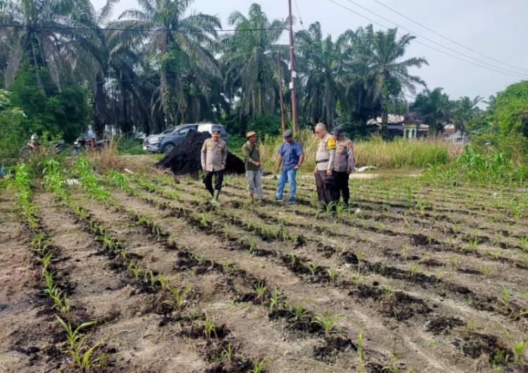 Ketahanan Pangan, Kompol Herman Pelani: Pengolahan Lahan Menjadi Tahapan yang Penting