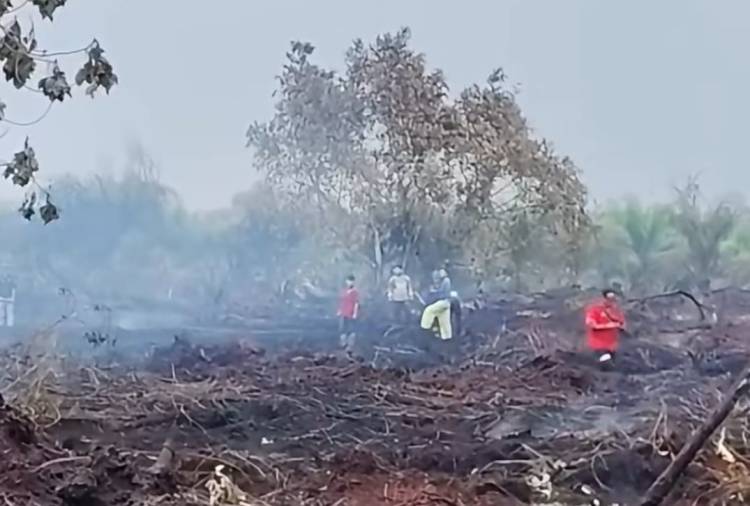 Menhut Soroti Penegakan Hukum Kasus Karhutla di Riau, Jikalahari: Belum Ada Korporasi Tersangka