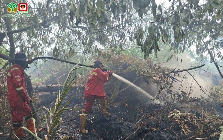 Perjuangan Pemadaman Karhutla di Pelalawan, Tim Manggala Agni Jalan Kaki Hingga Dua Kilometer