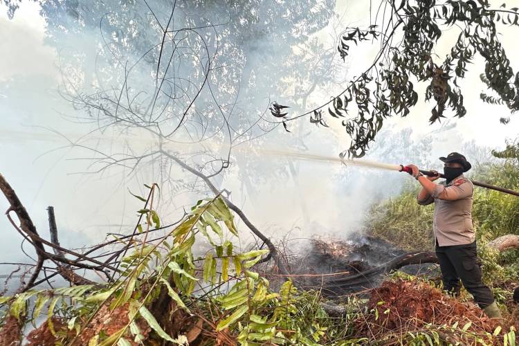 Sempat Padam, Karhutla di Kerumutan Pelalawan Menyala Lagi