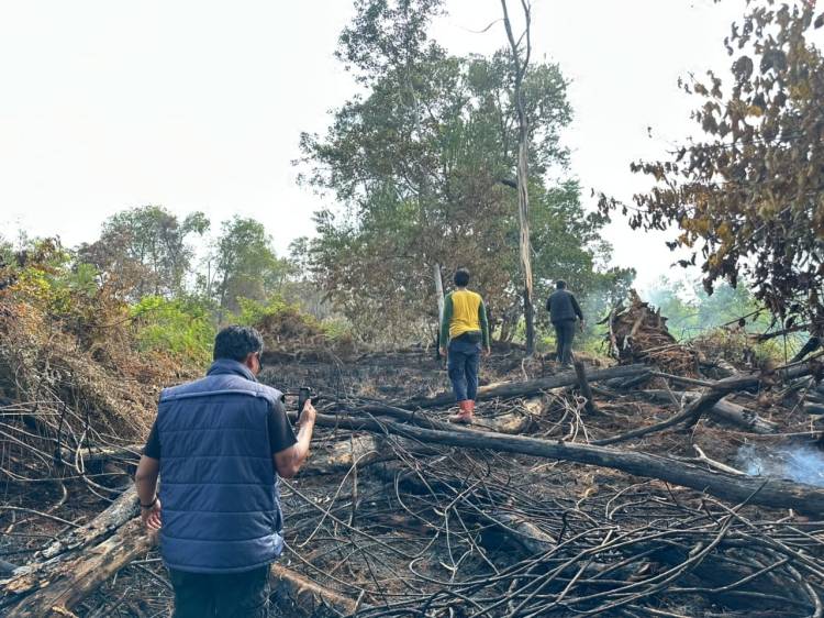 Pria di Pelalawan Ditangkap Usai Bakar Lahan untuk Kebun Sawit