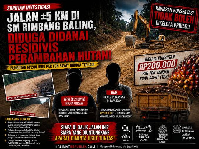Jalan Sepanjang 5 Kilometer yang Membelah HSM Rimbang Baling Diduga Didanai Residivis Perambahan Hutan