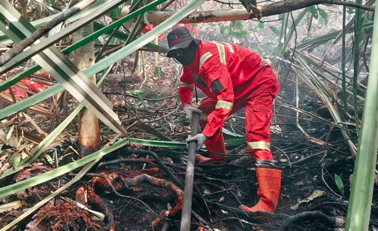 Enam Titik di Riau Masih Membara, Manggala Agni Berjibaku Lakukan Padamkan Karhutla